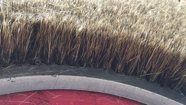 Pure wild bristle brush disc