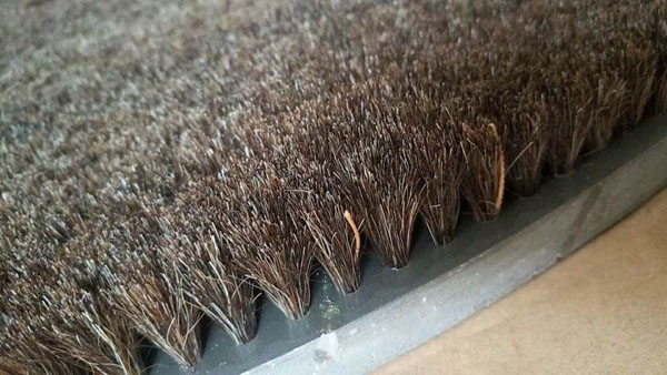 Wild bristle brush